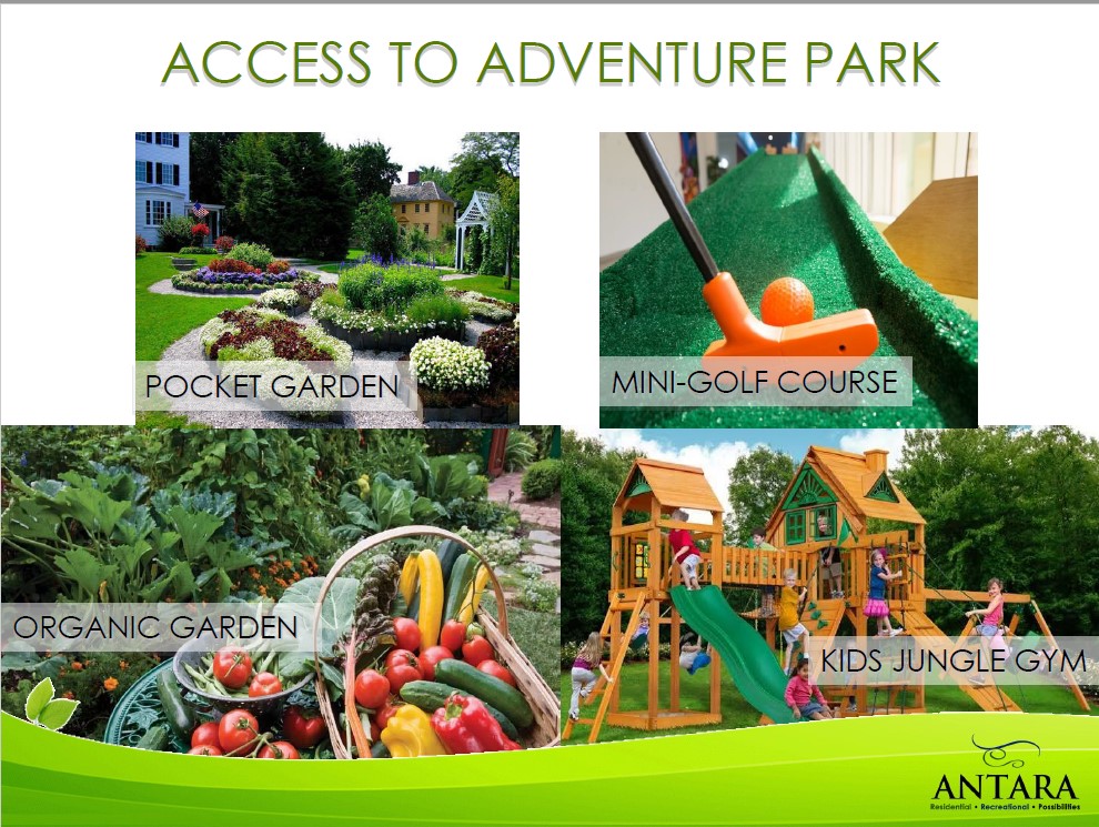 amenity_adventure park