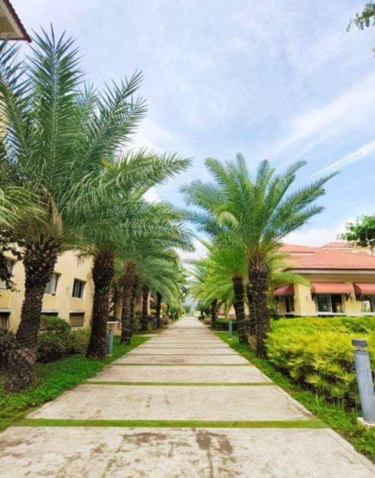SAN REMO (SRP) STUDIO UNIT FOR RENT