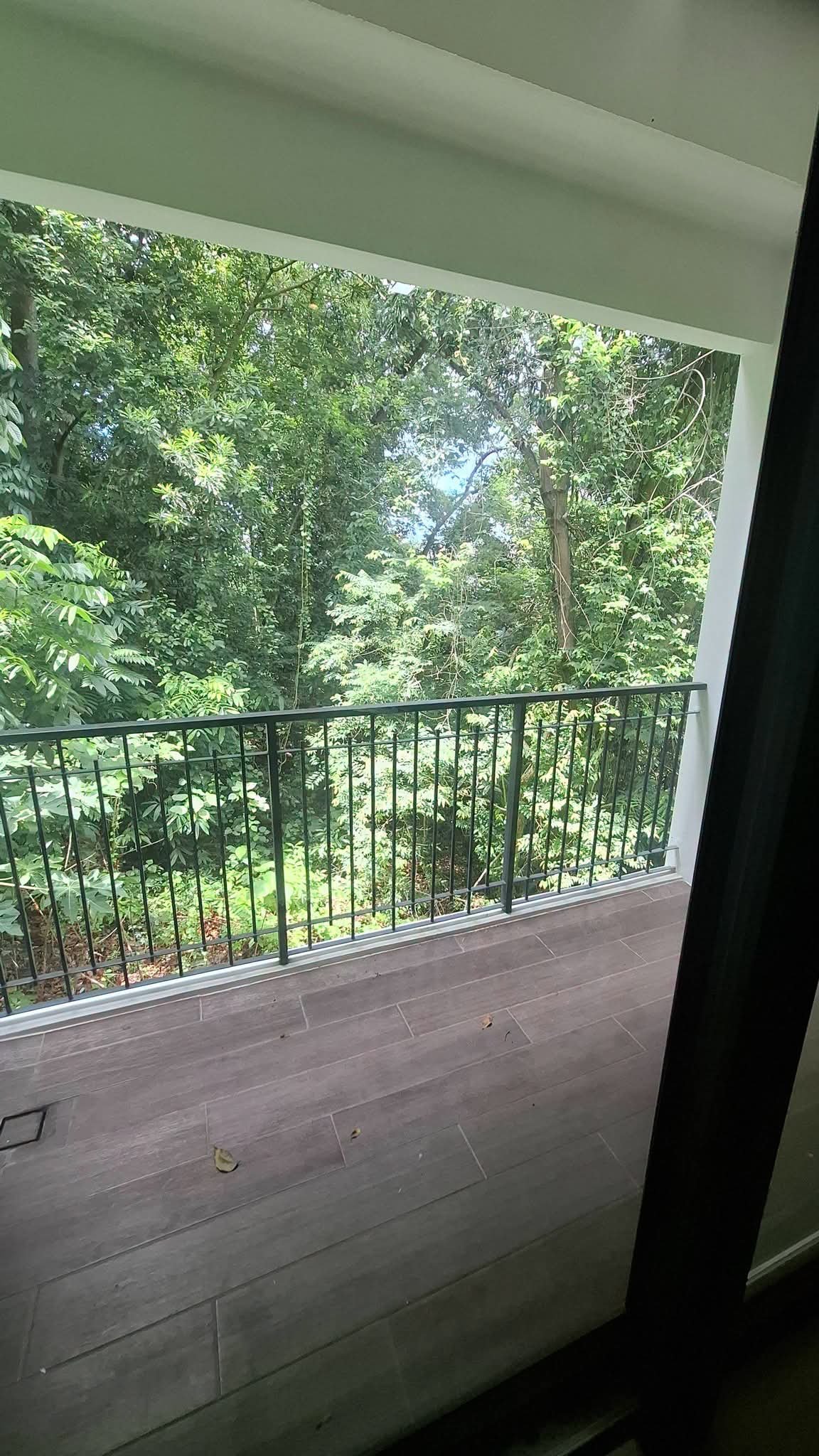 LUXURY HOUSE INSIDE MARIA LUISA FOR SALE